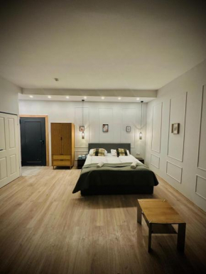 Private and Elegant Studio in Residential Vienna